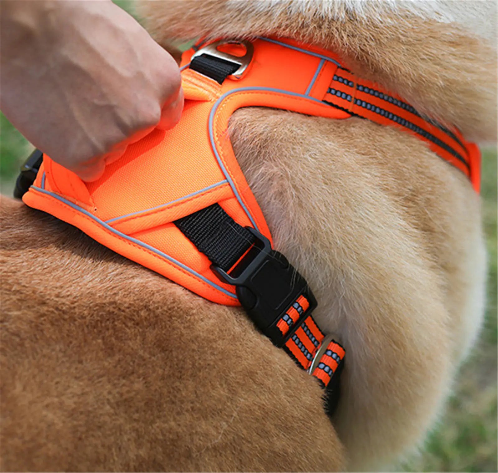 Durable Waterproof Pet Harness with Vertical Handle - PetsAnonymous