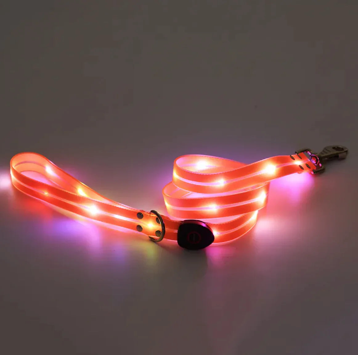 Rechargeable LED Pet Collar with Nylon Leash - PetsAnonymous