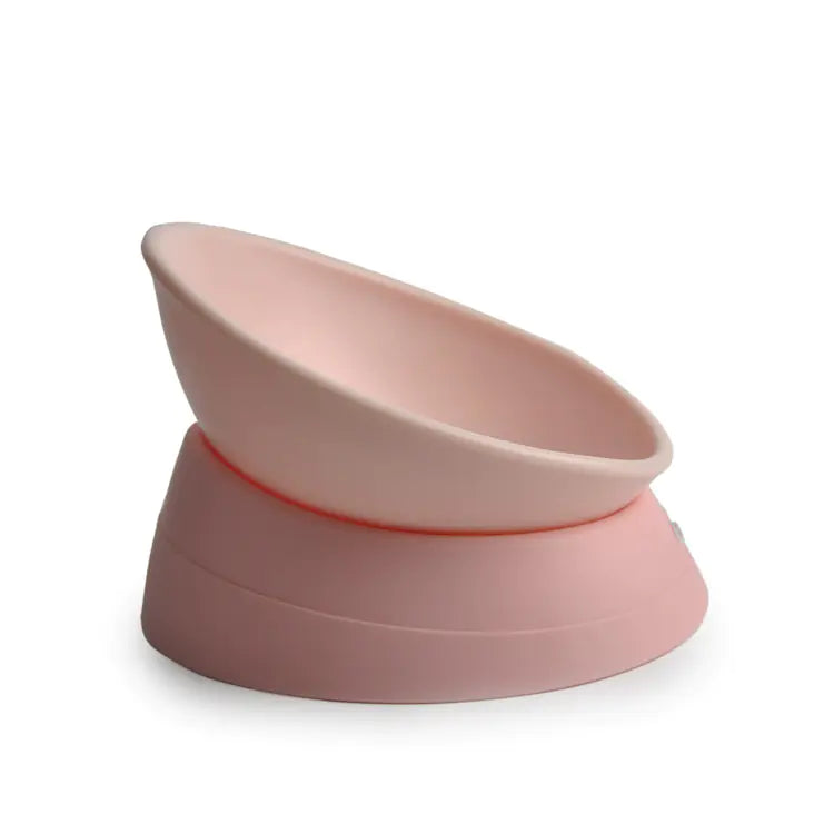 Non-Slip Cat Bowl with Adjustable Angle for Flat-Faced Cats - PetsAnonymous