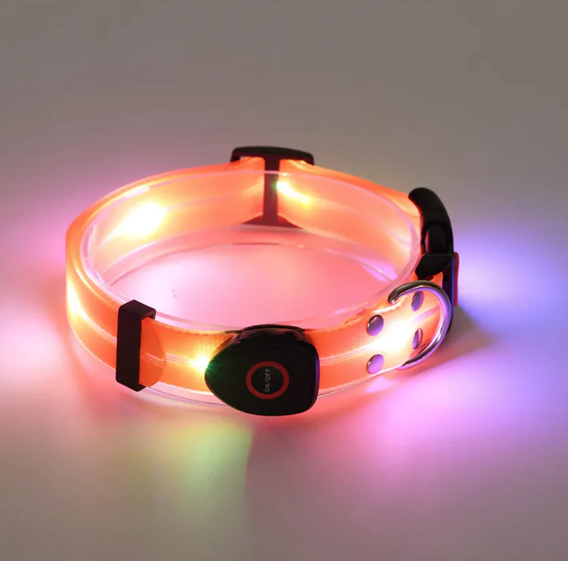 Rechargeable LED Pet Collar with Nylon Leash - PetsAnonymous