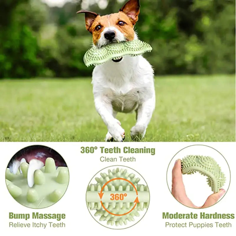 Bite-Resistant Dog Toy Ball for Interactive Chewing - PetsAnonymous