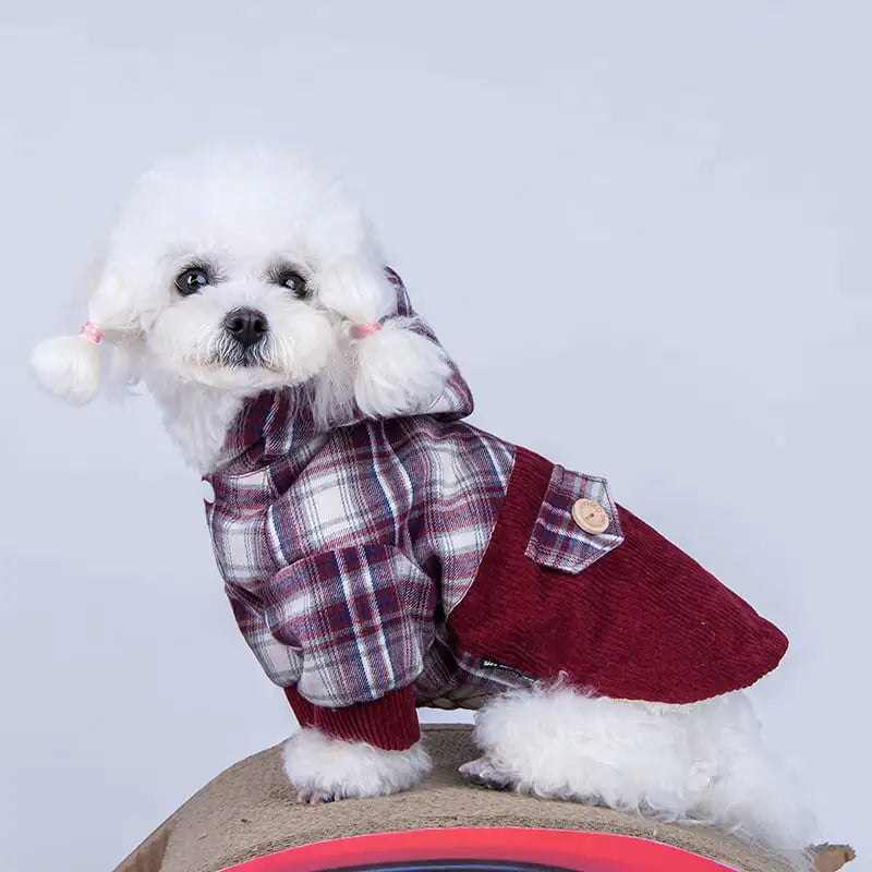 Teddy VIP Pomeranian Small Dog Cashmere Coat - PetsAnonymous