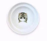 Spine Protection Bowl Holder for Cat Food and Water - PetsAnonymous
