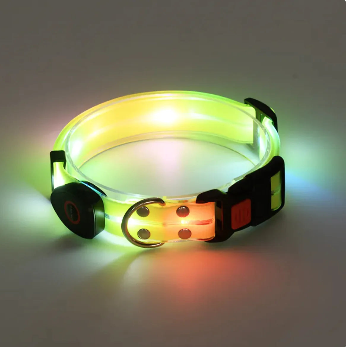 Rechargeable LED Pet Collar with Nylon Leash - PetsAnonymous