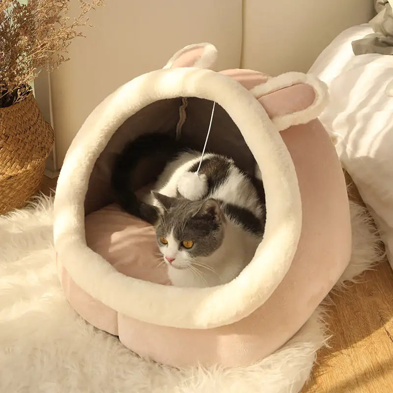 Purr-Fect Cat Bed - PetsAnonymous