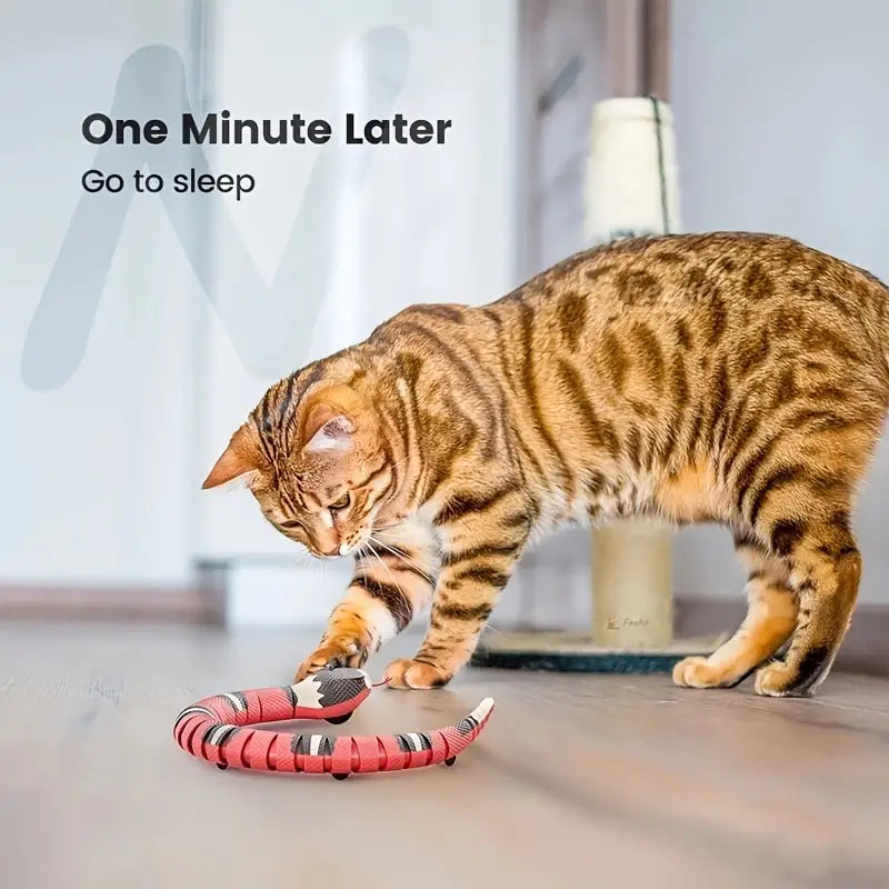 USB Charging Interactive Snake Toy for Cats - Endless Fun - PetsAnonymous