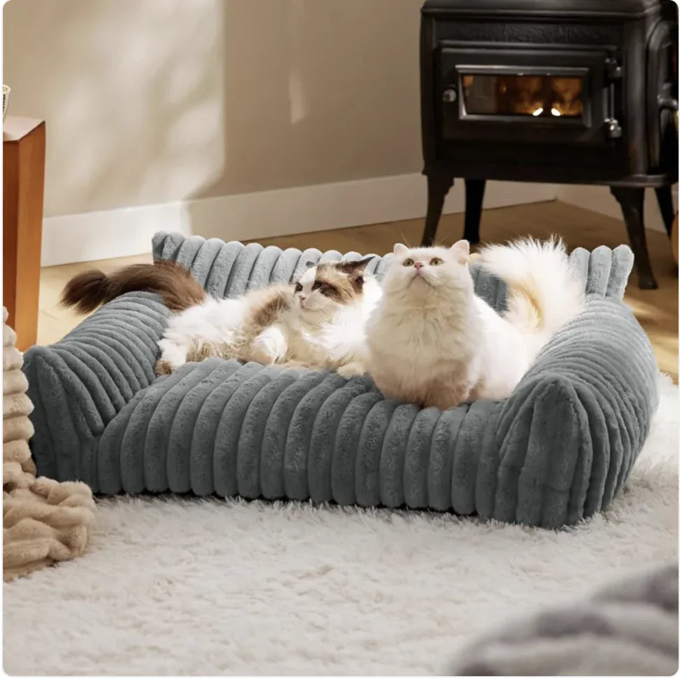 Bedsure Cute Cat Sofa - Soft Corduroy Fleece Pet Bed - PetsAnonymous