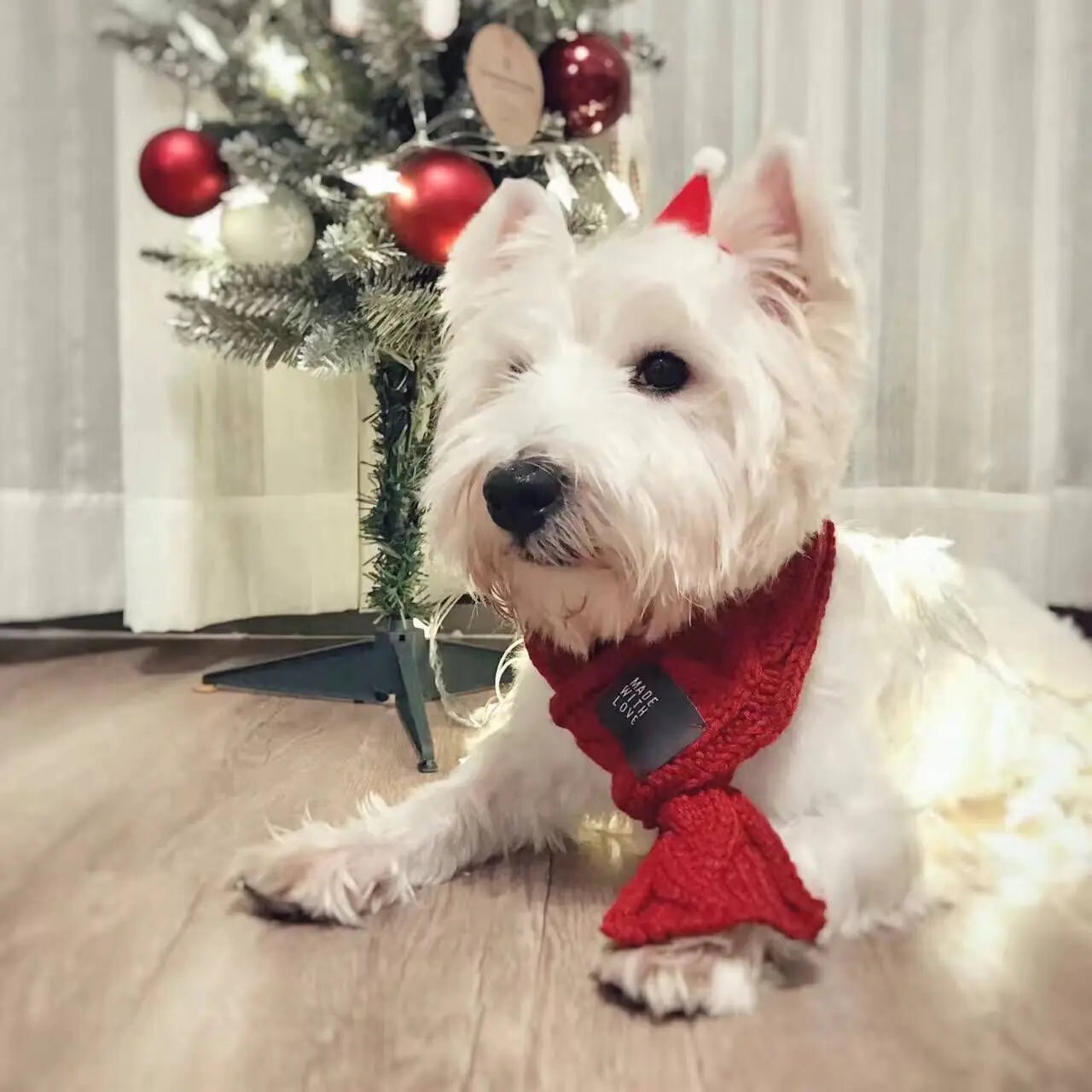 Thick Warm Scarf for Dogs - Cute Pet Scarf - PetsAnonymous