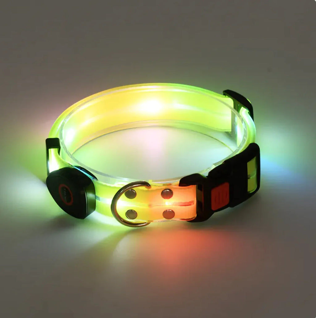 Rechargeable LED Pet Collar with Nylon Leash - PetsAnonymous